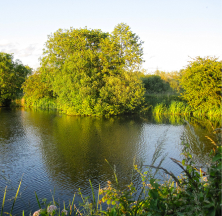 <strong>ATTENBOROUGH NATURE RESERVE</strong>